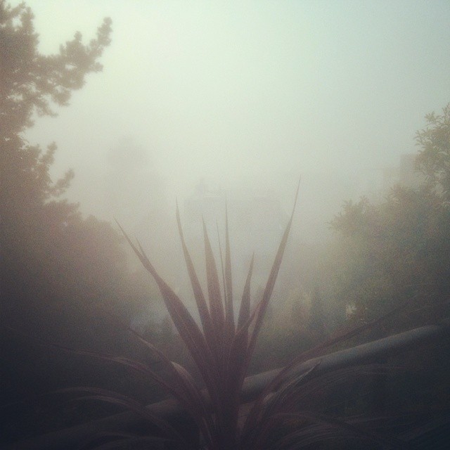 karl the fog