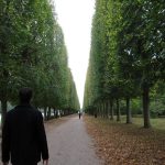 versailles_gardens_infinity_tree_path_ryan.jpg