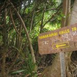 na_pali_hike_hanakapiai_falls_sign.jpg