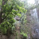 wailua_hike_waterfall_2.jpg