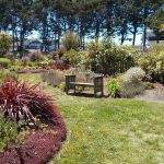 botanical_garden_bench