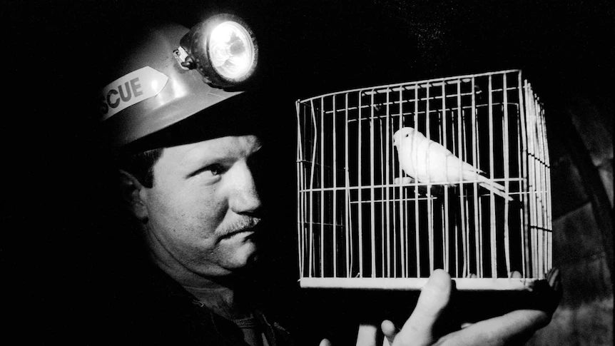 A mine worker wearing a hard hat and lamp holding a canary in a cage